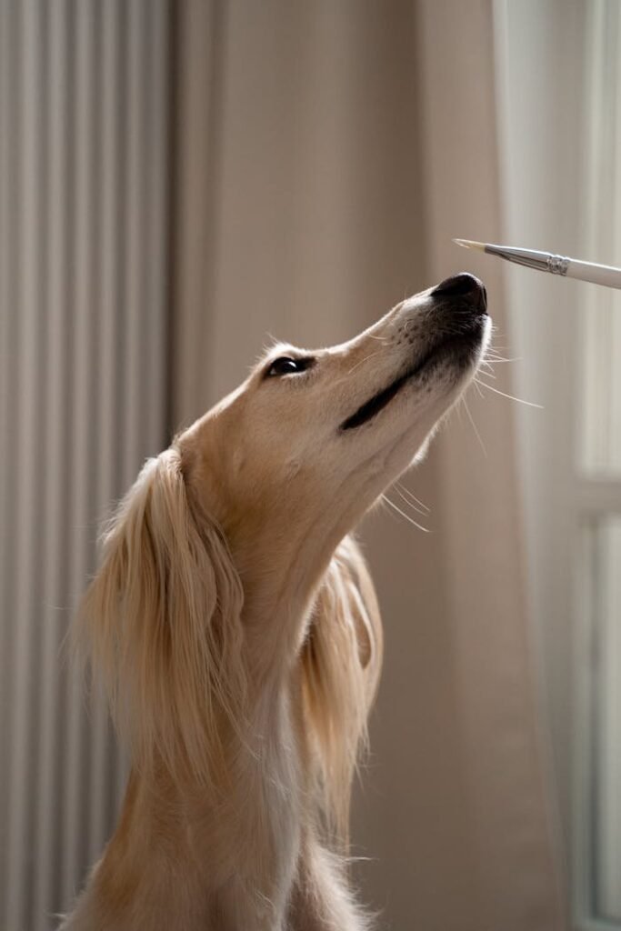 Dog with Paintbrush