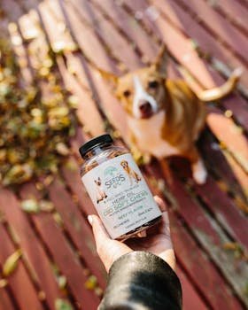 Hand holds bottle of CBD soft chews, with blurred dog on a rustic deck, North Little Rock.